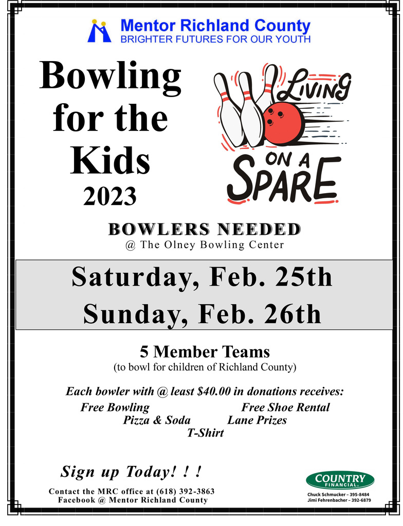 Bowling for Kids Sake flyer